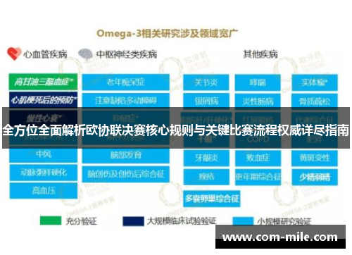 全方位全面解析欧协联决赛核心规则与关键比赛流程权威详尽指南