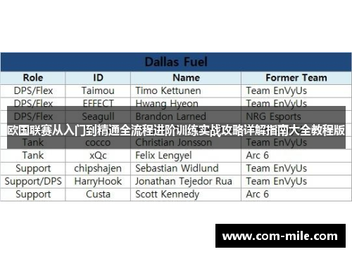 欧国联赛从入门到精通全流程进阶训练实战攻略详解指南大全教程版 欧国联赛从入门到精通全流程进阶训练实战攻略详解指南大全教程版